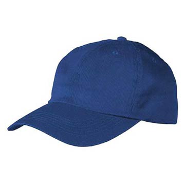 CAP1